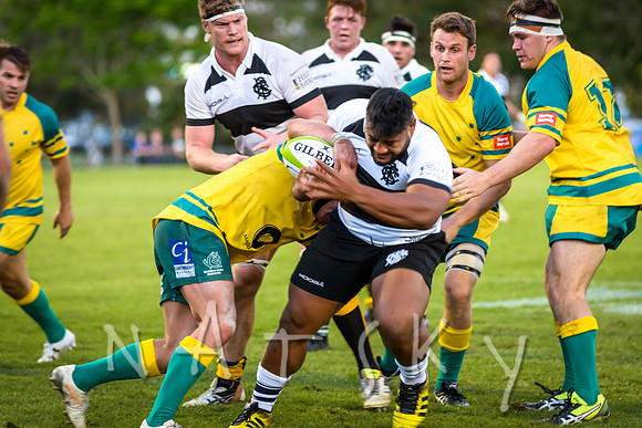 rugby 296