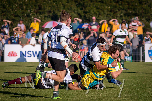 rugby 118