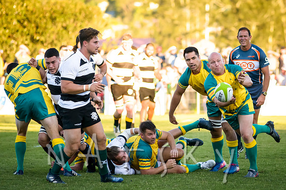 rugby 215