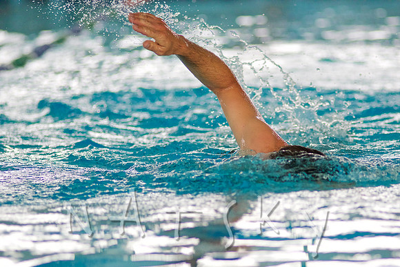 s swim  030