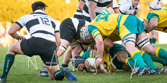 rugby 240